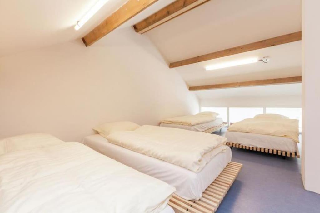 Coccinelle Villa Biggekerke ภายนอก รูปภาพ